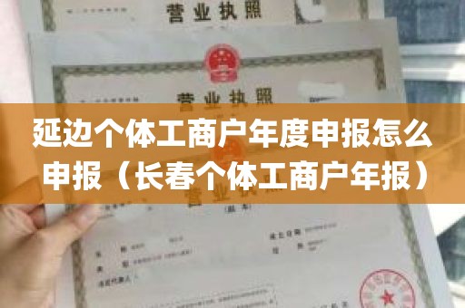 延边个体工商户年度申报怎么申报（长春个体工商户年报）