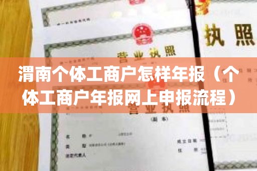 渭南个体工商户怎样年报（个体工商户年报网上申报流程）