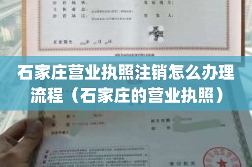 石家庄营业执照注销怎么办理流程（石家庄的营业执照）