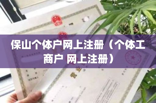 保山个体户网上注册（个体工商户 网上注册）