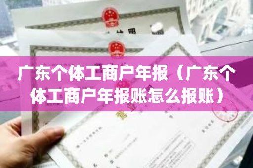 广东个体工商户年报（广东个体工商户年报账怎么报账）