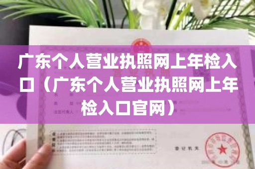 广东个人营业执照网上年检入口（广东个人营业执照网上年检入口官网）