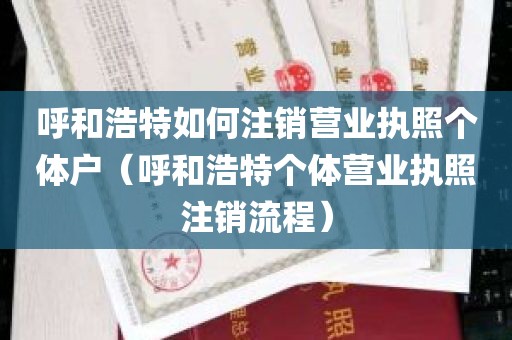 呼和浩特如何注销营业执照个体户（呼和浩特个体营业执照注销流程）