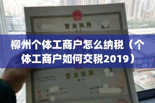 柳州个体工商户怎么纳税（个体工商户如何交税2019）