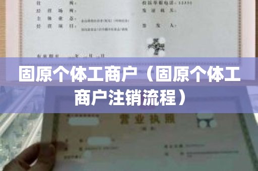 固原个体工商户（固原个体工商户注销流程）