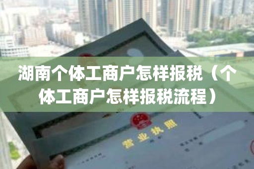 湖南个体工商户怎样报税（个体工商户怎样报税流程）