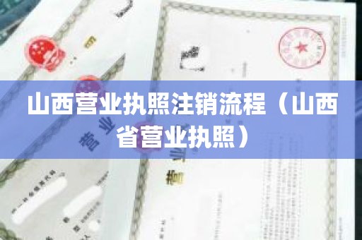 山西营业执照注销流程（山西省营业执照）