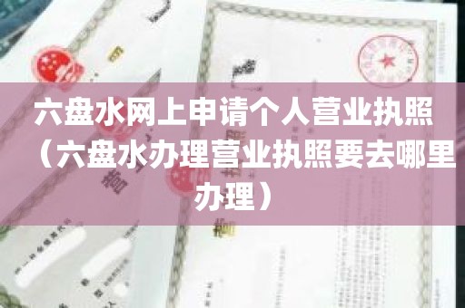 六盘水网上申请个人营业执照（六盘水办理营业执照要去哪里办理）