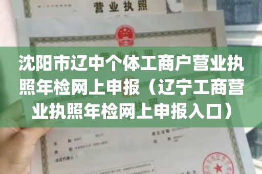 沈阳市辽中个体工商户营业执照年检网上申报（辽宁工商营业执照年检网上申报入口）