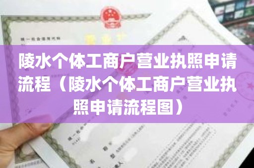 陵水个体工商户营业执照申请流程（陵水个体工商户营业执照申请流程图）