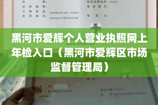 黑河市爱辉个人营业执照网上年检入口（黑河市爱辉区市场监督管理局）