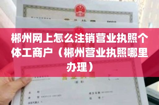 郴州网上怎么注销营业执照个体工商户（郴州营业执照哪里办理）