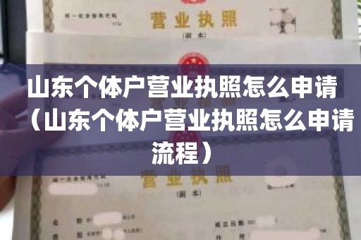 山东个体户营业执照怎么申请（山东个体户营业执照怎么申请流程）