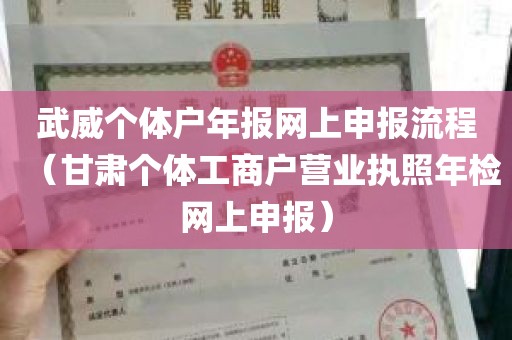 武威个体户年报网上申报流程（甘肃个体工商户营业执照年检网上申报）