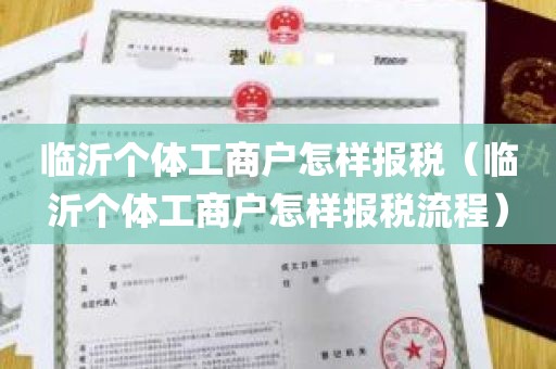 临沂个体工商户怎样报税（临沂个体工商户怎样报税流程）