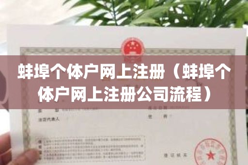 蚌埠个体户网上注册（蚌埠个体户网上注册公司流程）