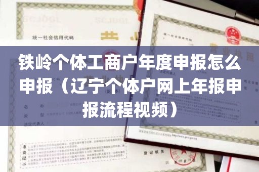 铁岭个体工商户年度申报怎么申报（辽宁个体户网上年报申报流程视频）