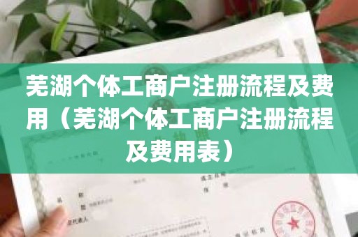 芜湖个体工商户注册流程及费用（芜湖个体工商户注册流程及费用表）