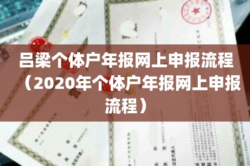 吕梁个体户年报网上申报流程（2020年个体户年报网上申报流程）