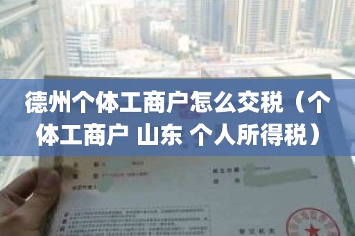 德州个体工商户怎么交税（个体工商户 山东 个人所得税）