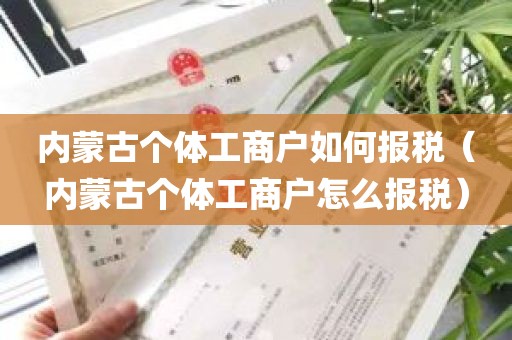 内蒙古个体工商户如何报税（内蒙古个体工商户怎么报税）