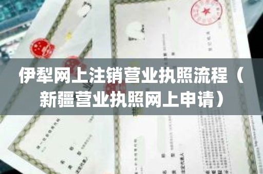 伊犁网上注销营业执照流程（新疆营业执照网上申请）