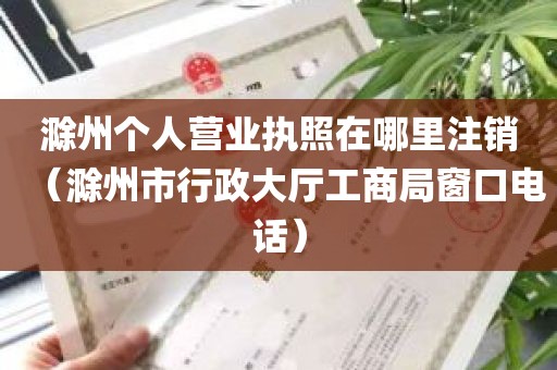 滁州个人营业执照在哪里注销（滁州市行政大厅工商局窗口电话）