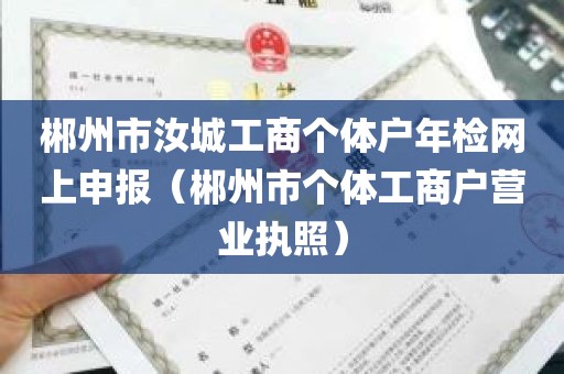 郴州市汝城工商个体户年检网上申报（郴州市个体工商户营业执照）