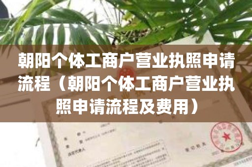 朝阳个体工商户营业执照申请流程（朝阳个体工商户营业执照申请流程及费用）