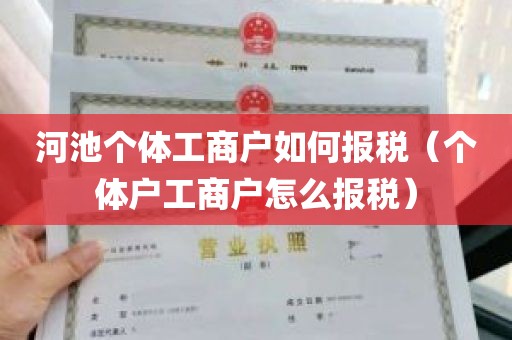 河池个体工商户如何报税（个体户工商户怎么报税）