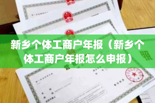 新乡个体工商户年报（新乡个体工商户年报怎么申报）