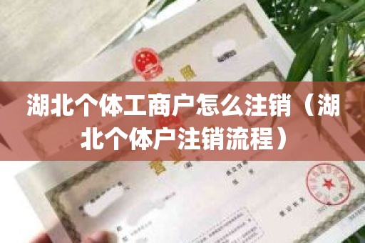 湖北个体工商户怎么注销（湖北个体户注销流程）