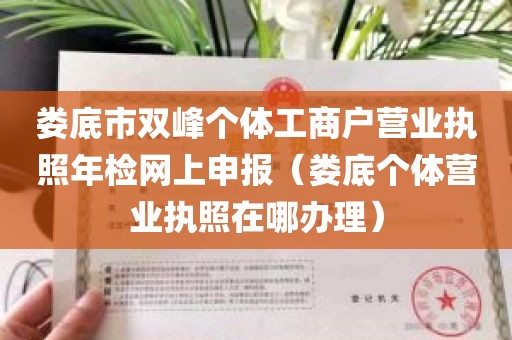 娄底市双峰个体工商户营业执照年检网上申报（娄底个体营业执照在哪办理）