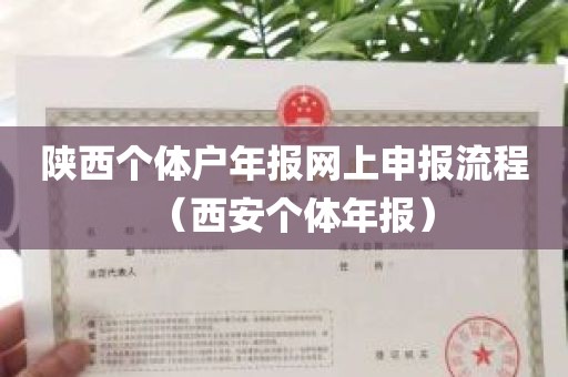 陕西个体户年报网上申报流程（西安个体年报）