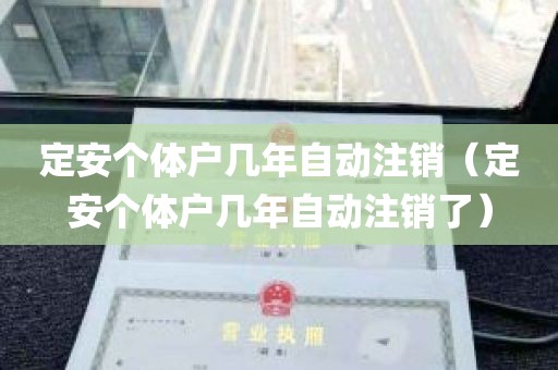 定安个体户几年自动注销（定安个体户几年自动注销了）