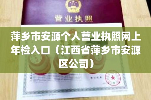 萍乡市安源个人营业执照网上年检入口（江西省萍乡市安源区公司）