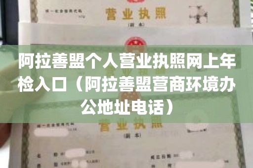 阿拉善盟个人营业执照网上年检入口（阿拉善盟营商环境办公地址电话）