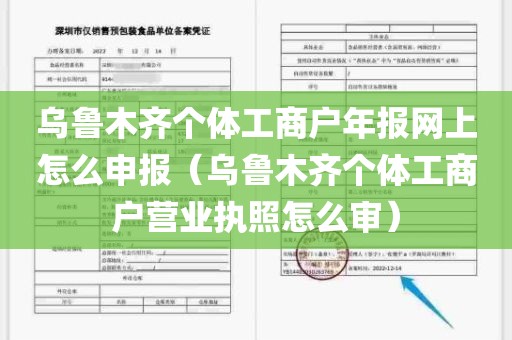 乌鲁木齐个体工商户年报网上怎么申报（乌鲁木齐个体工商户营业执照怎么审）