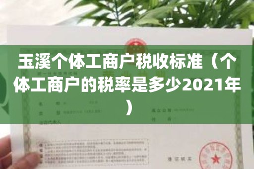 玉溪个体工商户税收标准（个体工商户的税率是多少2021年）