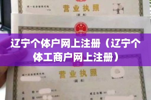 辽宁个体户网上注册（辽宁个体工商户网上注册）