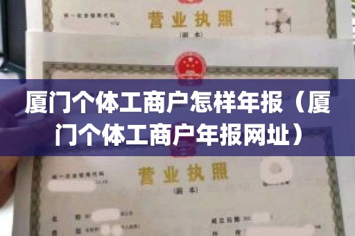 厦门个体工商户怎样年报（厦门个体工商户年报网址）