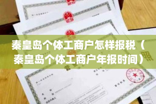 秦皇岛个体工商户怎样报税（秦皇岛个体工商户年报时间）