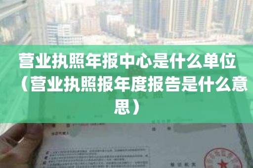 营业执照年报中心是什么单位（营业执照报年度报告是什么意思）