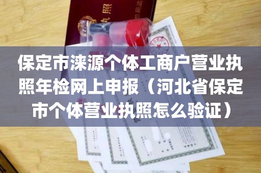 保定市涞源个体工商户营业执照年检网上申报（河北省保定市个体营业执照怎么验证）