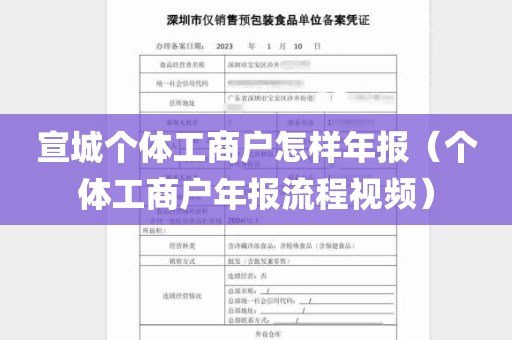 宣城个体工商户怎样年报（个体工商户年报流程视频）