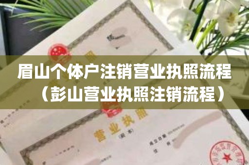 眉山个体户注销营业执照流程（彭山营业执照注销流程）