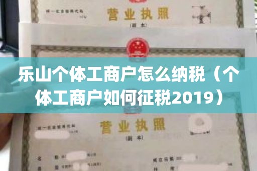 乐山个体工商户怎么纳税（个体工商户如何征税2019）