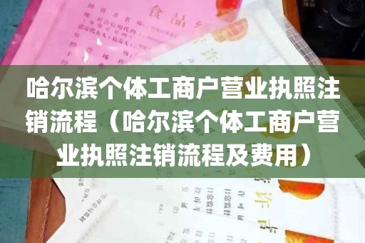 哈尔滨个体工商户营业执照注销流程（哈尔滨个体工商户营业执照注销流程及费用）