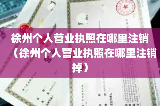 徐州个人营业执照在哪里注销（徐州个人营业执照在哪里注销掉）