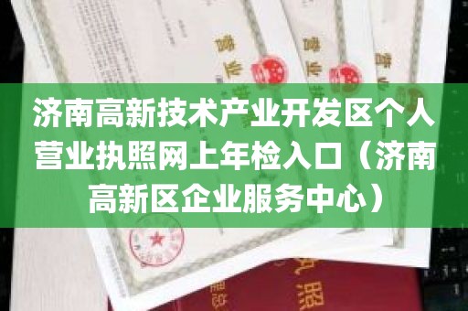 济南高新技术产业开发区个人营业执照网上年检入口（济南高新区企业服务中心）